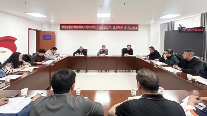 集團召開2025年2月份安全生產(chǎn)、生態(tài)環(huán)保（擴大）會議